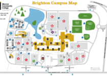 Mcc Brighton Campus