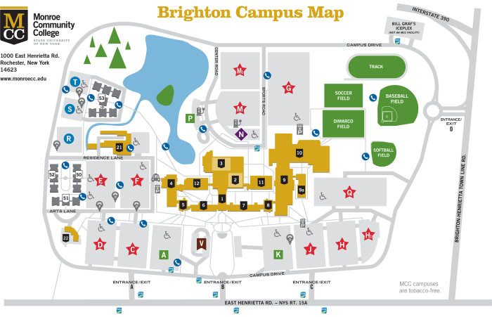 Mcc Brighton Campus